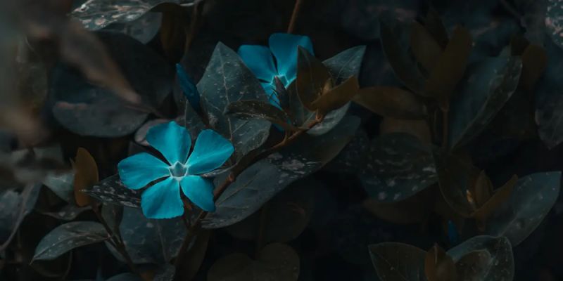 Pse Weekly Payments News Round Up 20th June 2025 Pse Consulting - Stunning Vintage Texture - Full HD