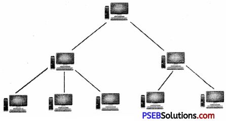 Pseb 9th Class Computer Notes Chapter 3 Networking Pseb Solutions - Light Illustrations - Ultra HD Full HD Collection
