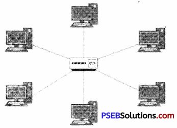Pseb 9th Class Computer Notes Chapter 3 Networking Pseb Solutions - Vintage Wallpapers - Creative Retina Collection