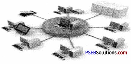 Pseb 9th Class Computer Solutions Chapter 3 Networking Pseb Solutions - Download Professional Vintage Picture | Ultra HD