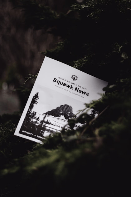 International News Coverage: Myanmar’s Perspective