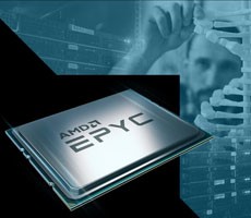 AMD EPYC 7543 32-Core Zen 3 Milan CPU Goes Xeon Hunting In Fresh Benchmark Leak
