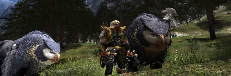 Dungeons and Dragons Online will also end support of Windows XP