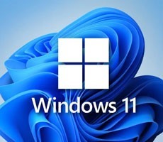 Microsoft’s Windows 11 Compatibility Tool Hilariously Greenlights Decade-Old Pentium 4