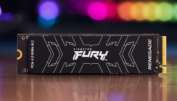 Kingston Fury Renegade PS5 Review