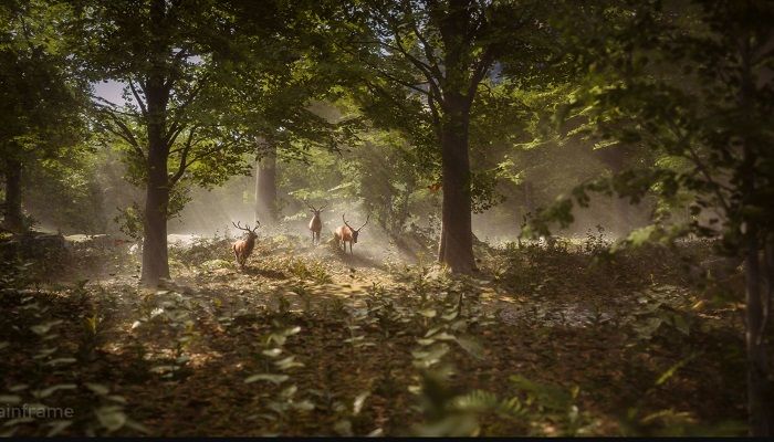 Mainframe Raises Another $22 Million for Development of Its Cloud-Native MMORPG