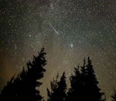 Scientists Carve A 15-Ton Meteorite That Crashed Into Earth And Are Stunned At What’s Inside