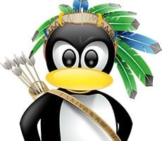 Linux Beats Mac In Latest Steam Survey, Radeon RX 7900 XTX Finally Shows Up