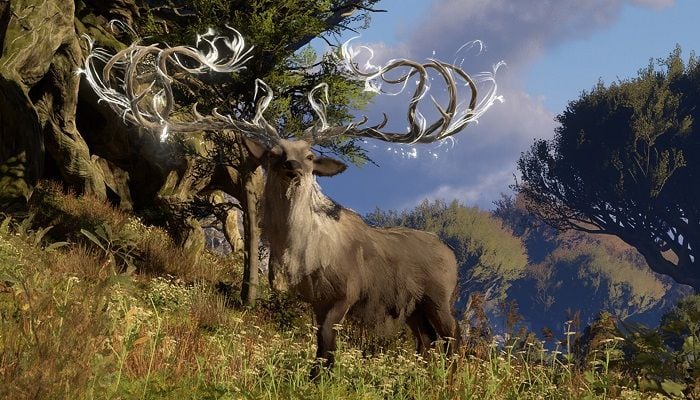 Pax Dei Details Next Update, R48, With New Content and QoL Improvements, Plus a Hint at Future Development
