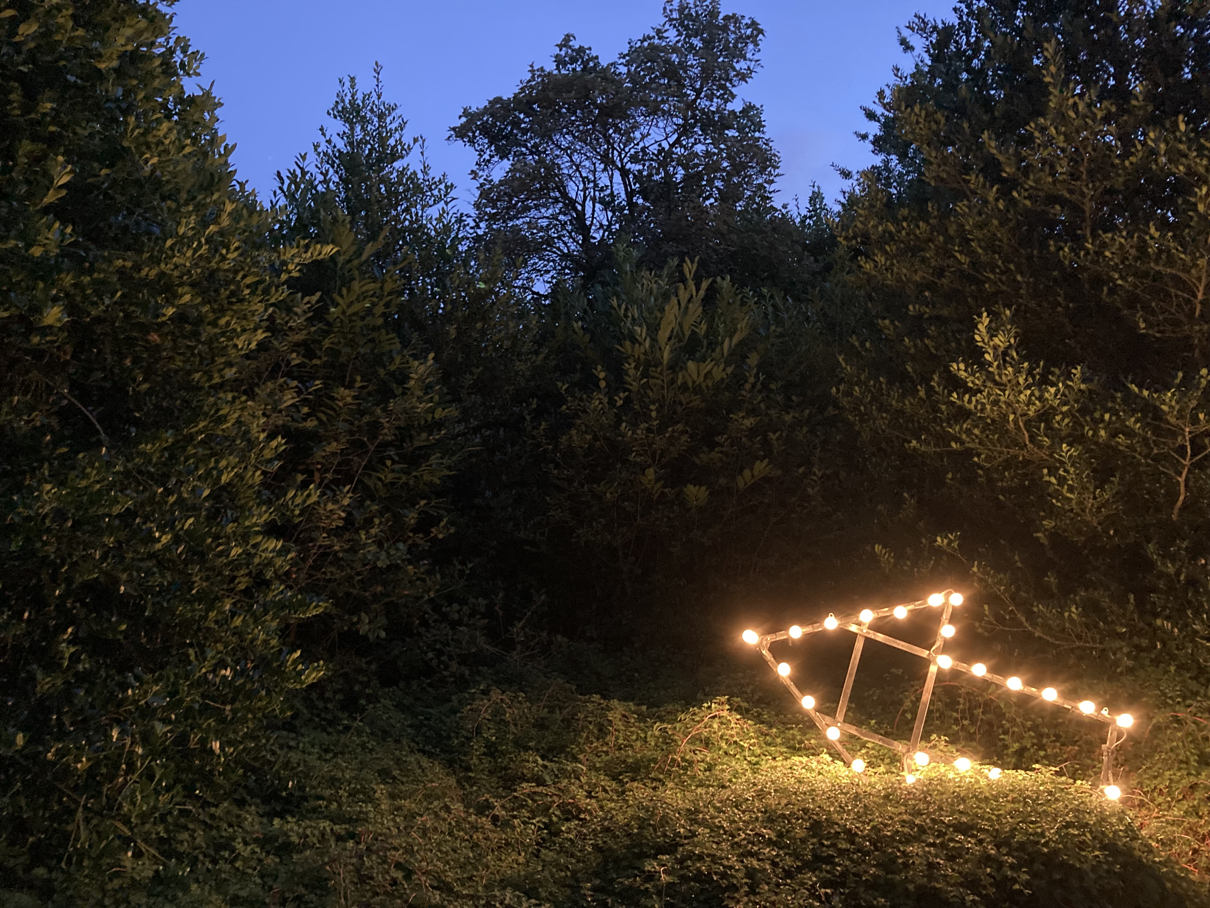 Een verlichte pijl in bossages bij invallen van de avond.
