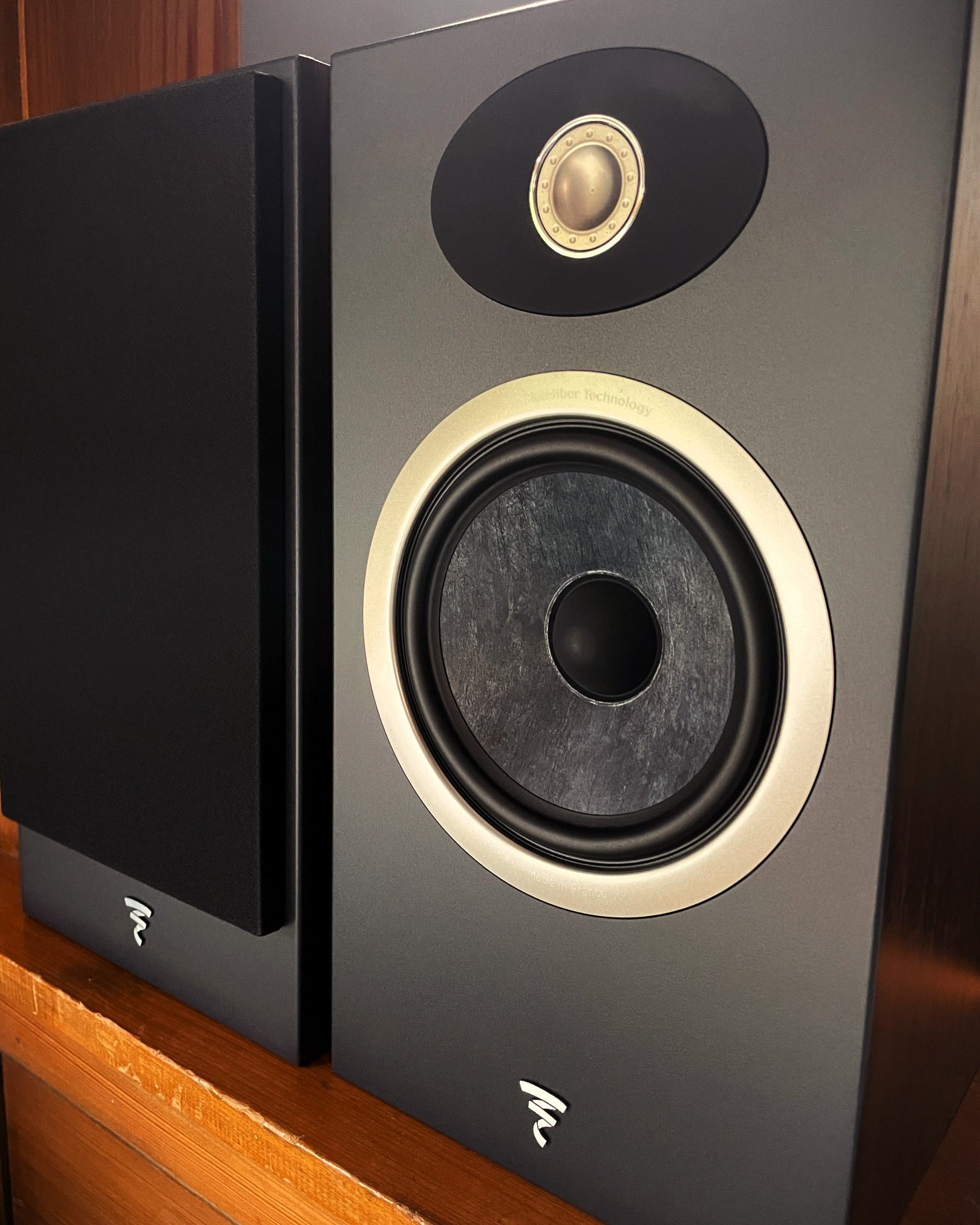 Focal Theva N1 Loudspeakers | REVIEW - pt.AUDIO
