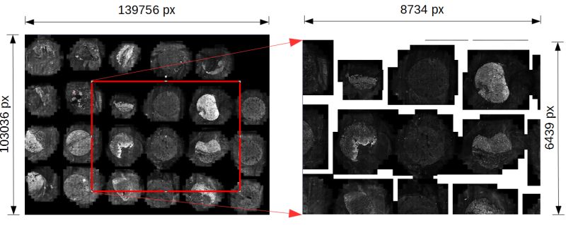 Ptahmose Github - Best Abstract Wallpapers in High Resolution