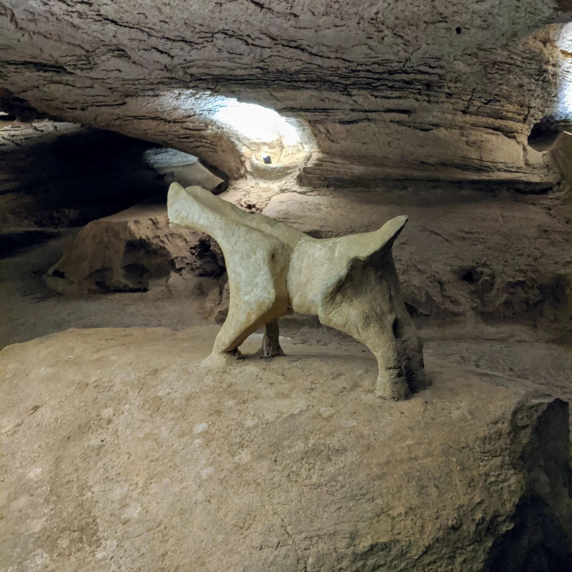 longhorn caverns state park texas
