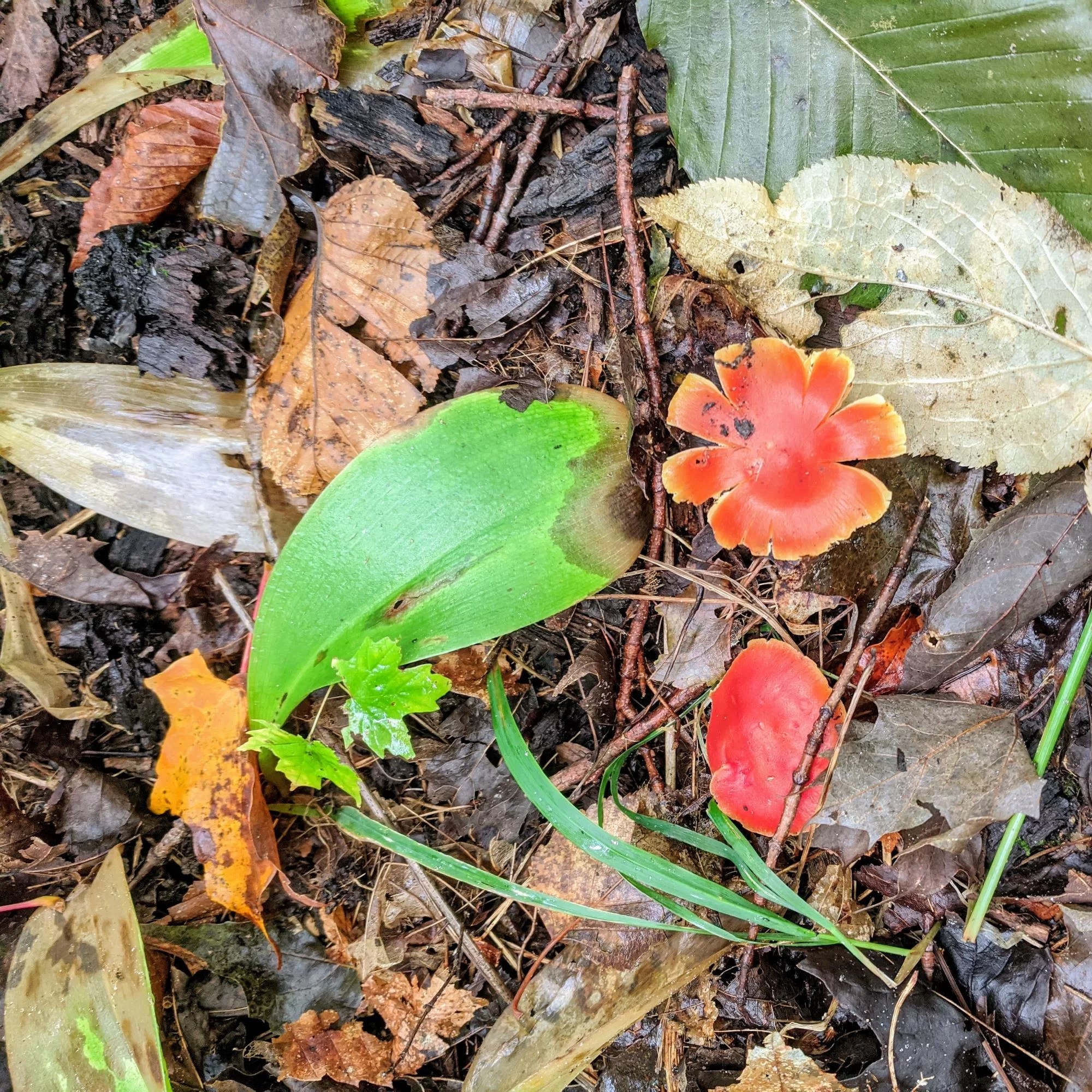 sable falls dunes trail pictured rocks national lakeshore upper peninsula michigan