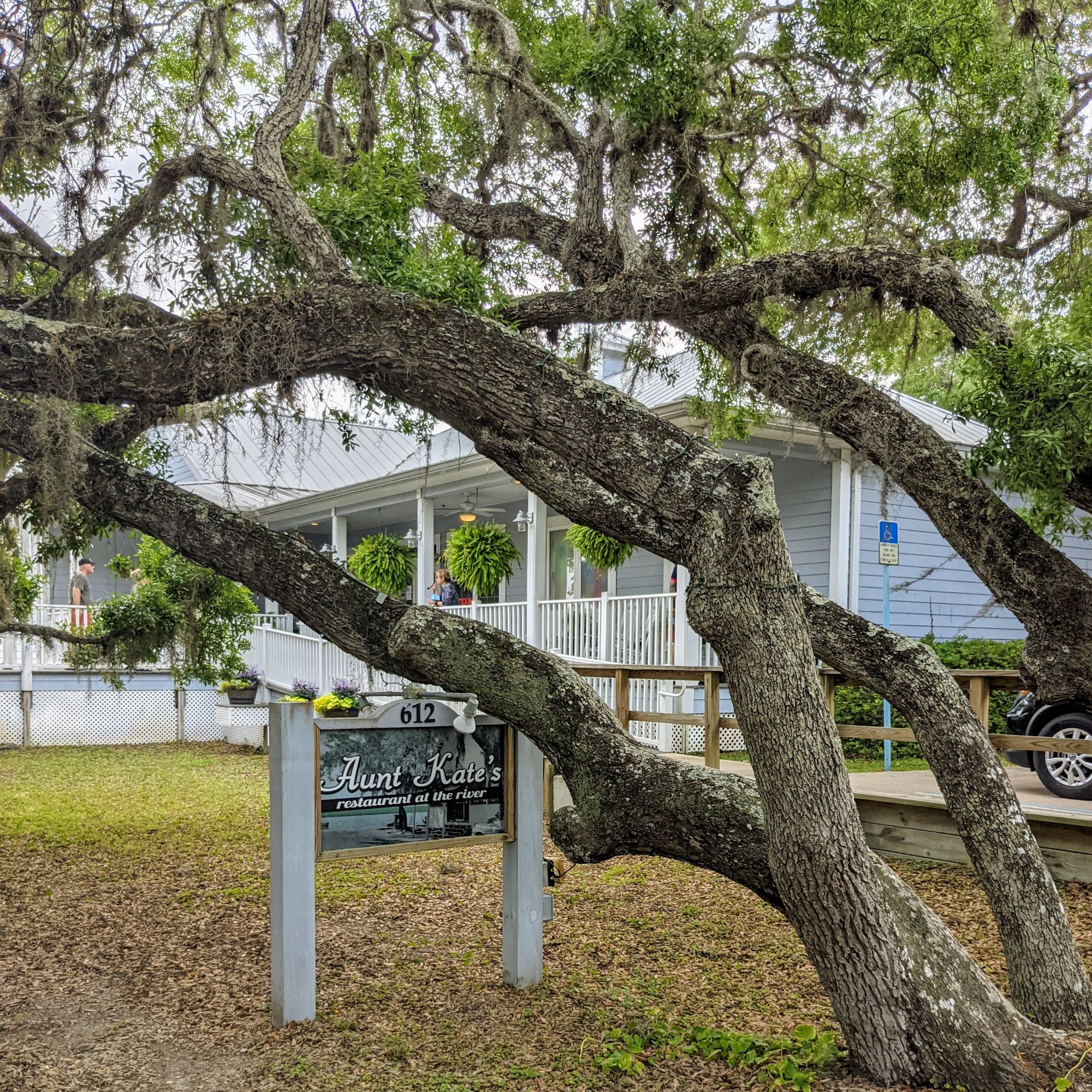 st augustine florida aunt kates