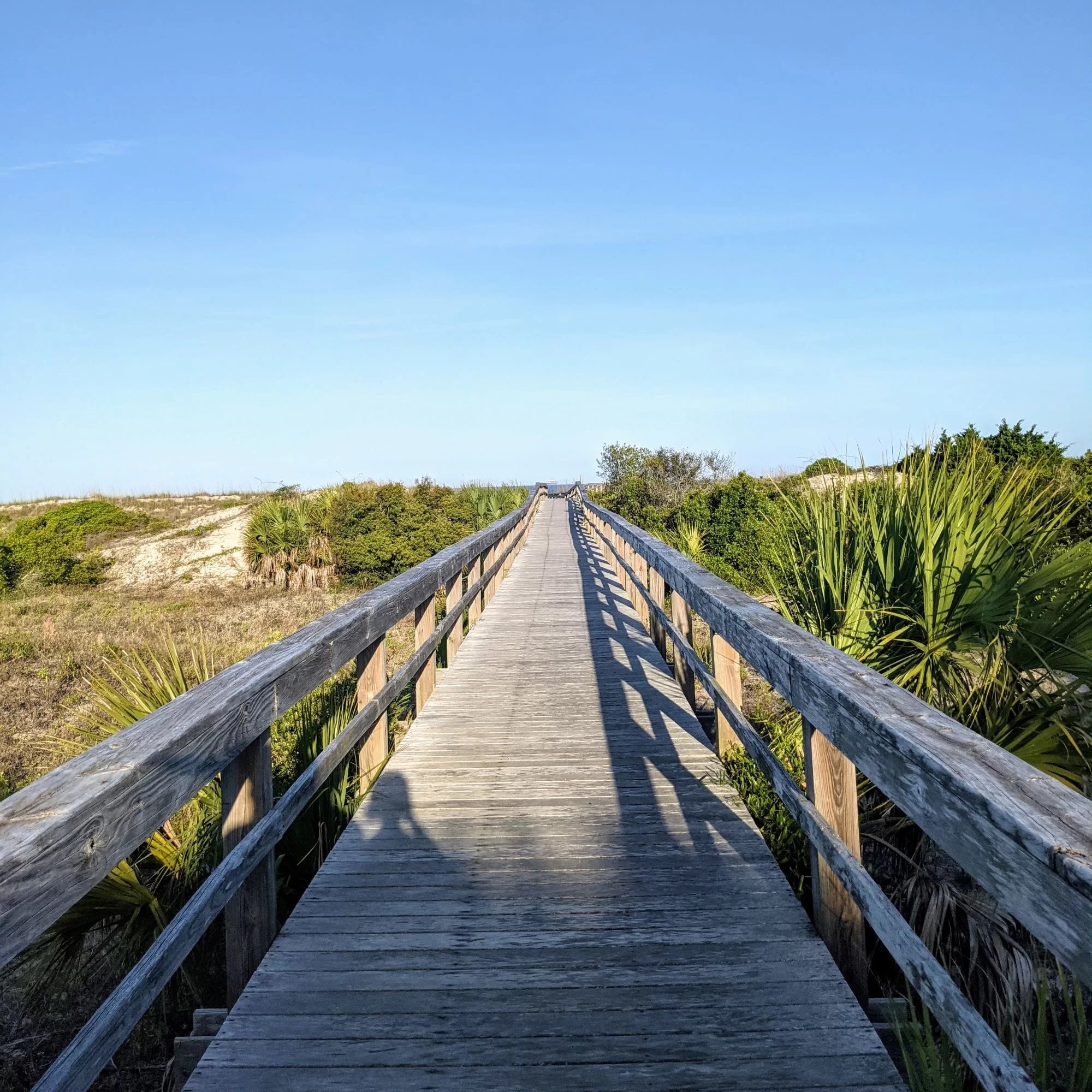 tybee island georgia