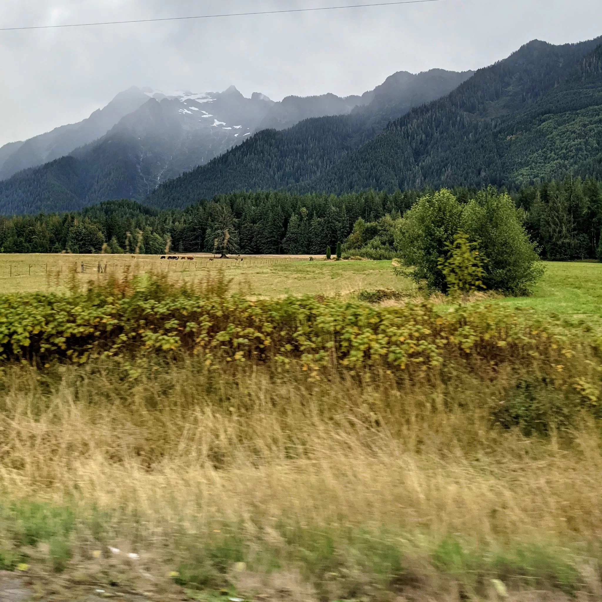 mountain loop byway washington
