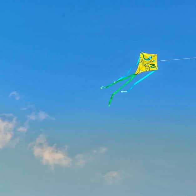 Kite