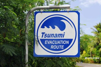 U.S. Airlines Waive Change Fees for Hawaii Travelers After Tsunami Alert
