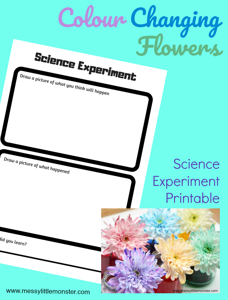 Amaze your kids with this cool diy homemade lava lamp! Colour Changing Flowers Science Experiment A Fun Science Project For Kids Messy Little Monster