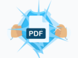 Renderpdf Io Api Publicapi