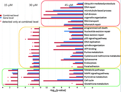 Terms and conditions of use • privacy and cookies policy © cs genetics limited cs genetics limited Rna Seq Data Analysis At The Gene And Cds Levels Provides A Comprehensive View Of Transcriptome Responses Induced By 4 Hydroxynonenal Molecular Biosystems Rsc Publishing