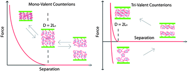 Brushes of strong polyelectrolytes in mixed mono- and tri-valent ionic  media at fixed total ionic strengths - Soft Matter (RSC Publishing)