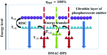 Highly Efficient Sky Blue Electroluminescence From Ligand