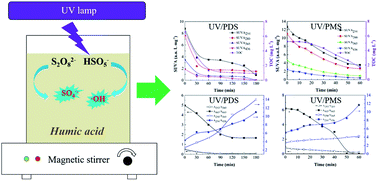 Elimination of humic acid in water: comparison of uv/pds and uv/pms