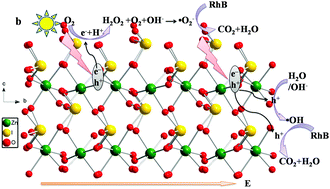 A novel high efficiency polar photocatalyst, Zn(IO3)2: synthesis, crystal  structure and photocatalytic activity - New Journal of Chemistry (RSC  Publishing)