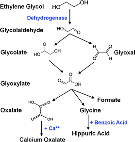 Ethylene Glycol Properties Synthesis And Applications Chemical Society Reviews Rsc Publishing Doi 10 1039 C2cs15359a Ethylene Glycol C2H6O2 - Ethylene glycol is the first member of the series of alkane diols and is also known as glycol.