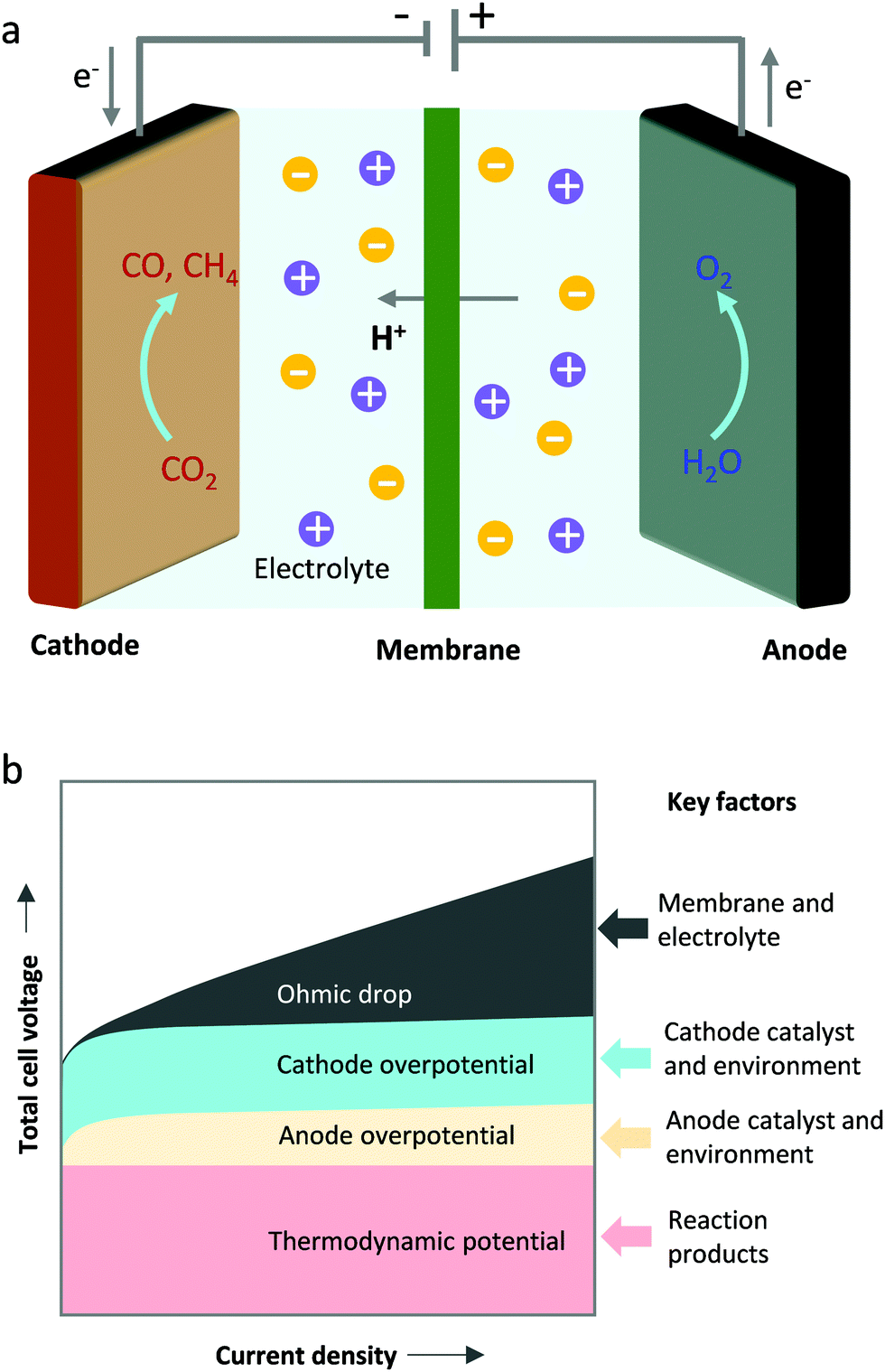 Carbon And Oxygen React To Form Carbon Dioxide Chegg 