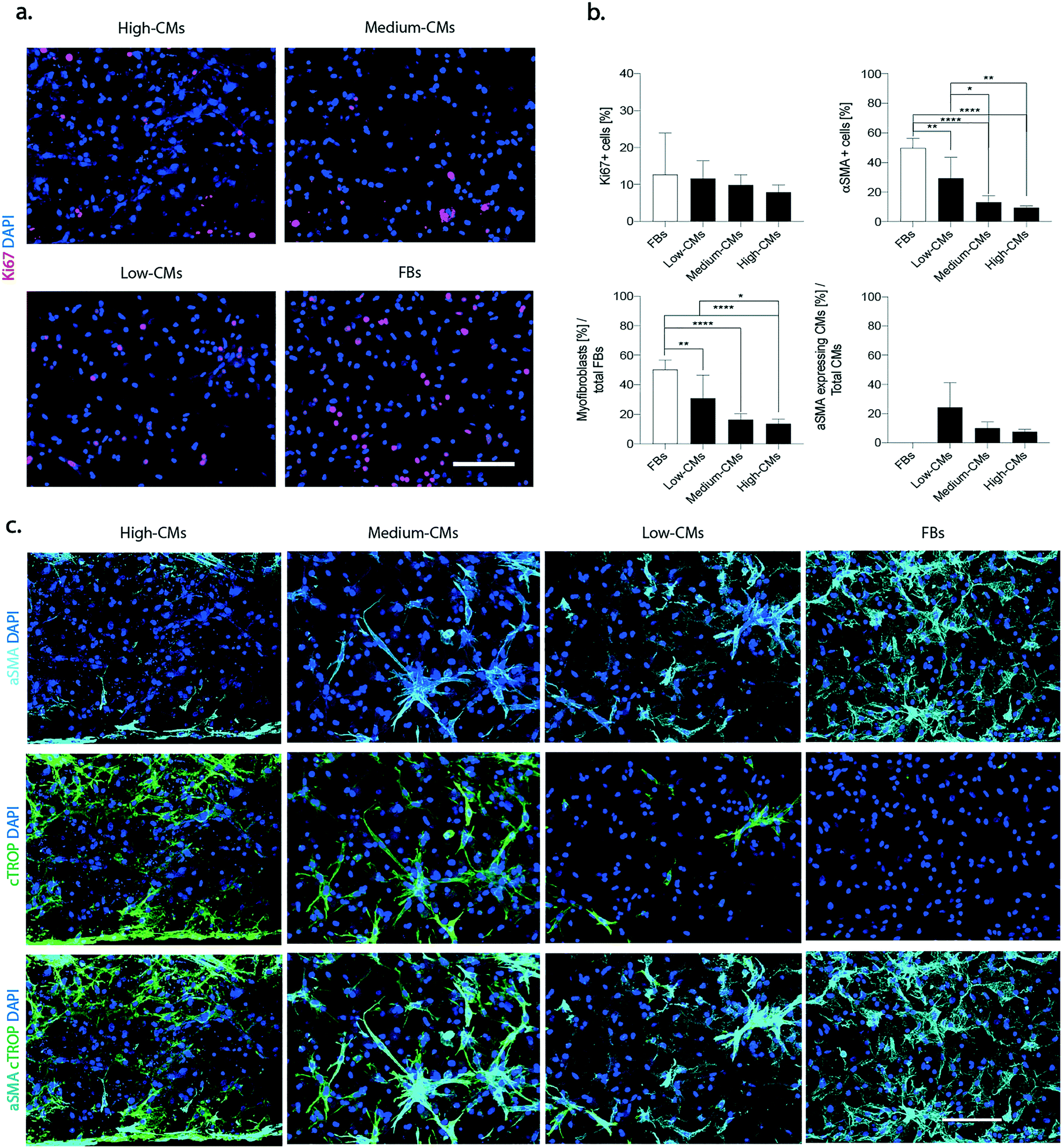 Vitra gömme rezervuar seti vitra arkitekt asma klozet ve vitra klozet kapağı. A Dynamic Microscale Mid Throughput Fibrosis Model To Investigate The Effects Of Different Ratios Of Cardiomyocytes And Fibroblasts Lab On A Chip Rsc Publishing Doi 10 1039 D1lc00092f