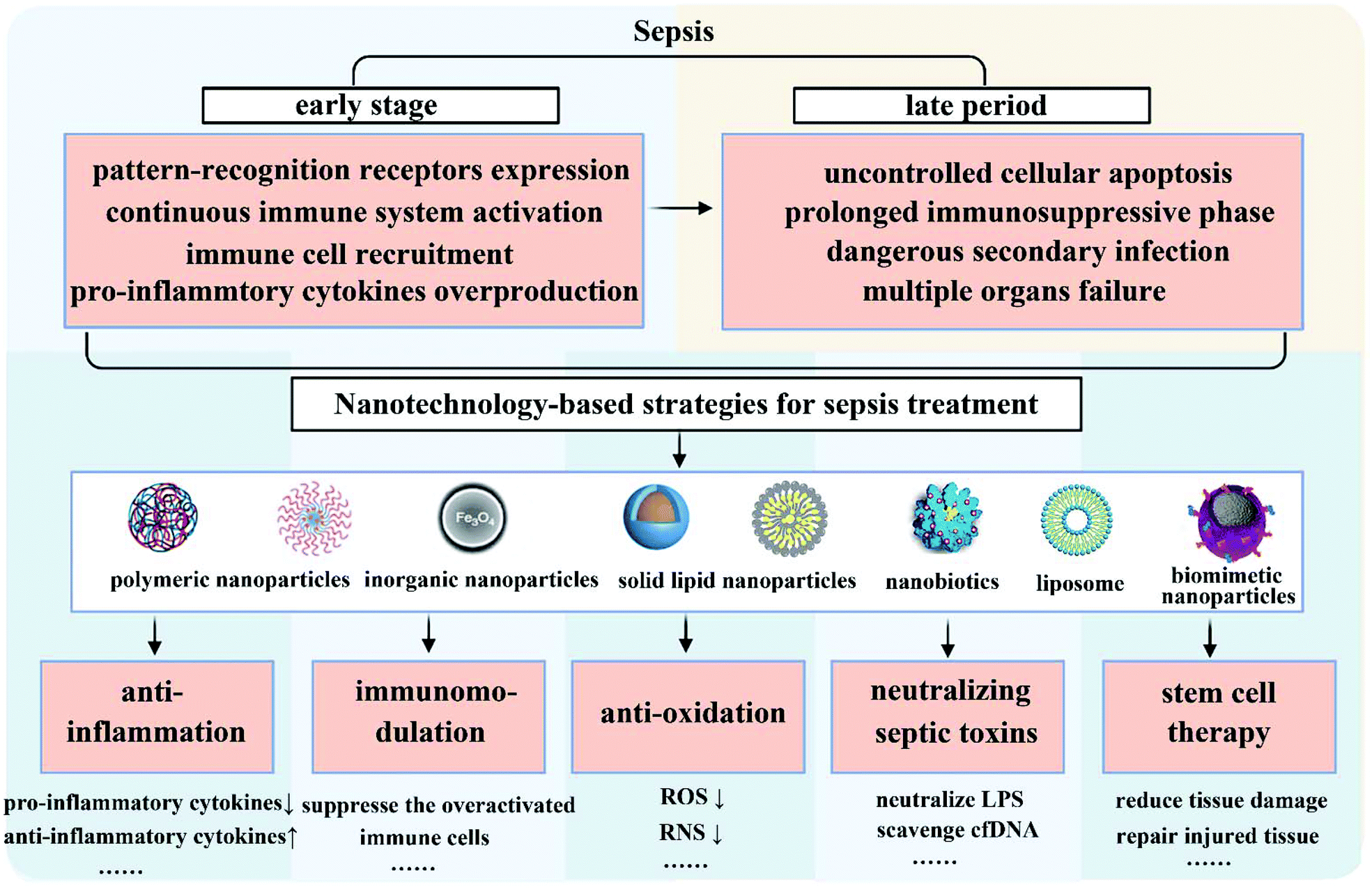 Toxins Free Full Text Advanced Proteomics As A Powerful Tool For Studying Toxins Of Human Bacterial Pathogens Html Please select characteristics exhibited by endotoxins but not exhibited by.