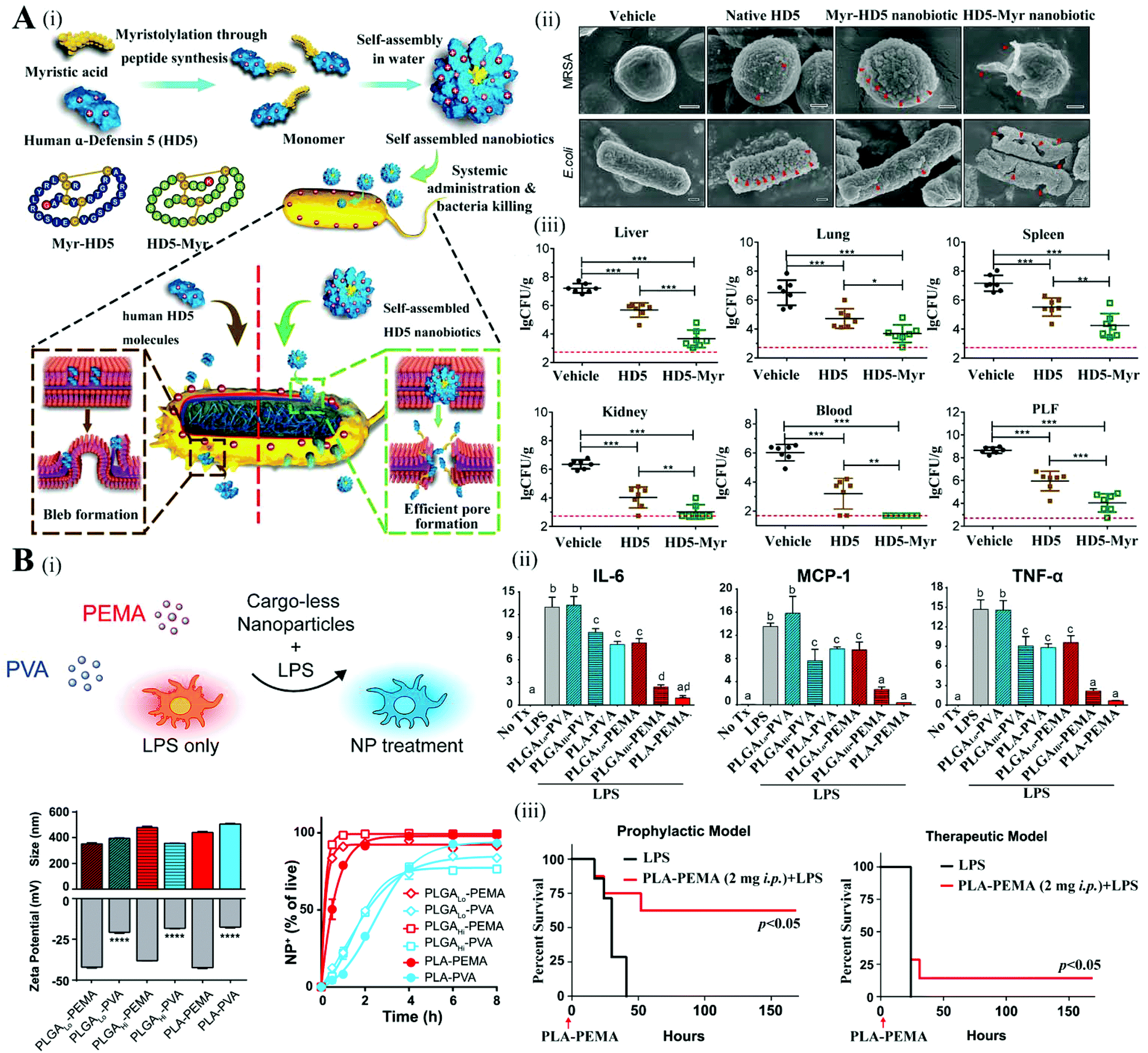 Recent Advancements Of Nanomaterial Based Therapeutic Strategies Toward Sepsis Bacterial Eradication Anti Inflammation And Immunomodulation Nanoscale Rsc Publishing Doi 10 1039 D1nr02706a Question 00767410 Subject Biology Topic Biochemistry Tutorials.