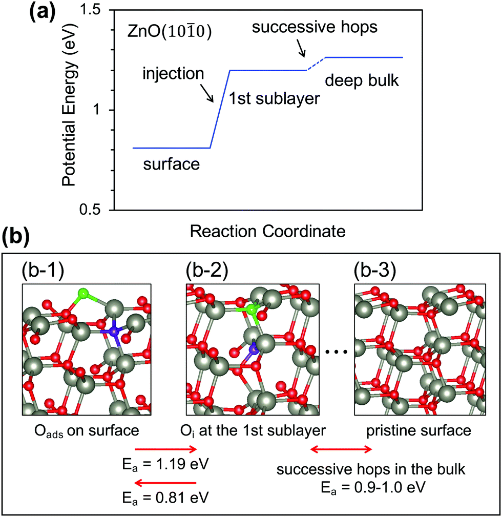 Nanomaterials Free Full Text The Self Adaptation Ability Of Zinc Oxide Nanoparticles Enables Reliable Cancer Treatments Html 