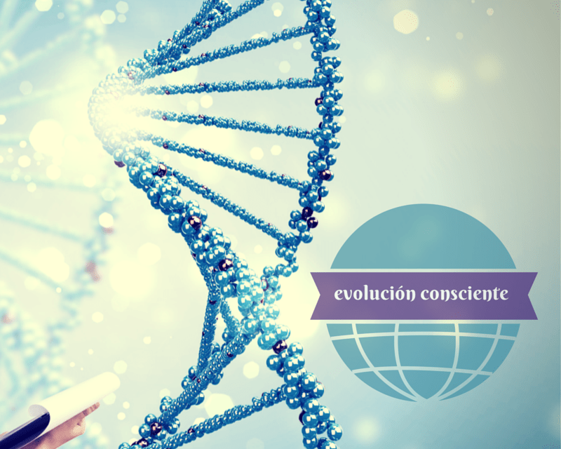 Evolución Consciente 