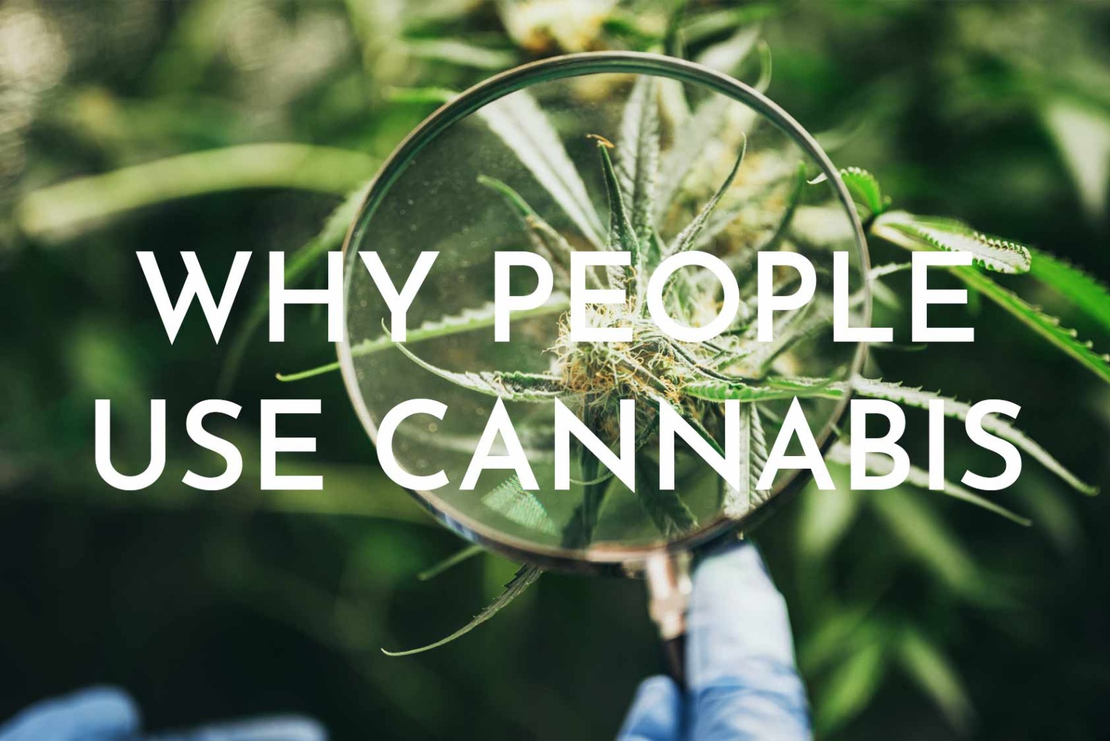 cannabis uses in canada