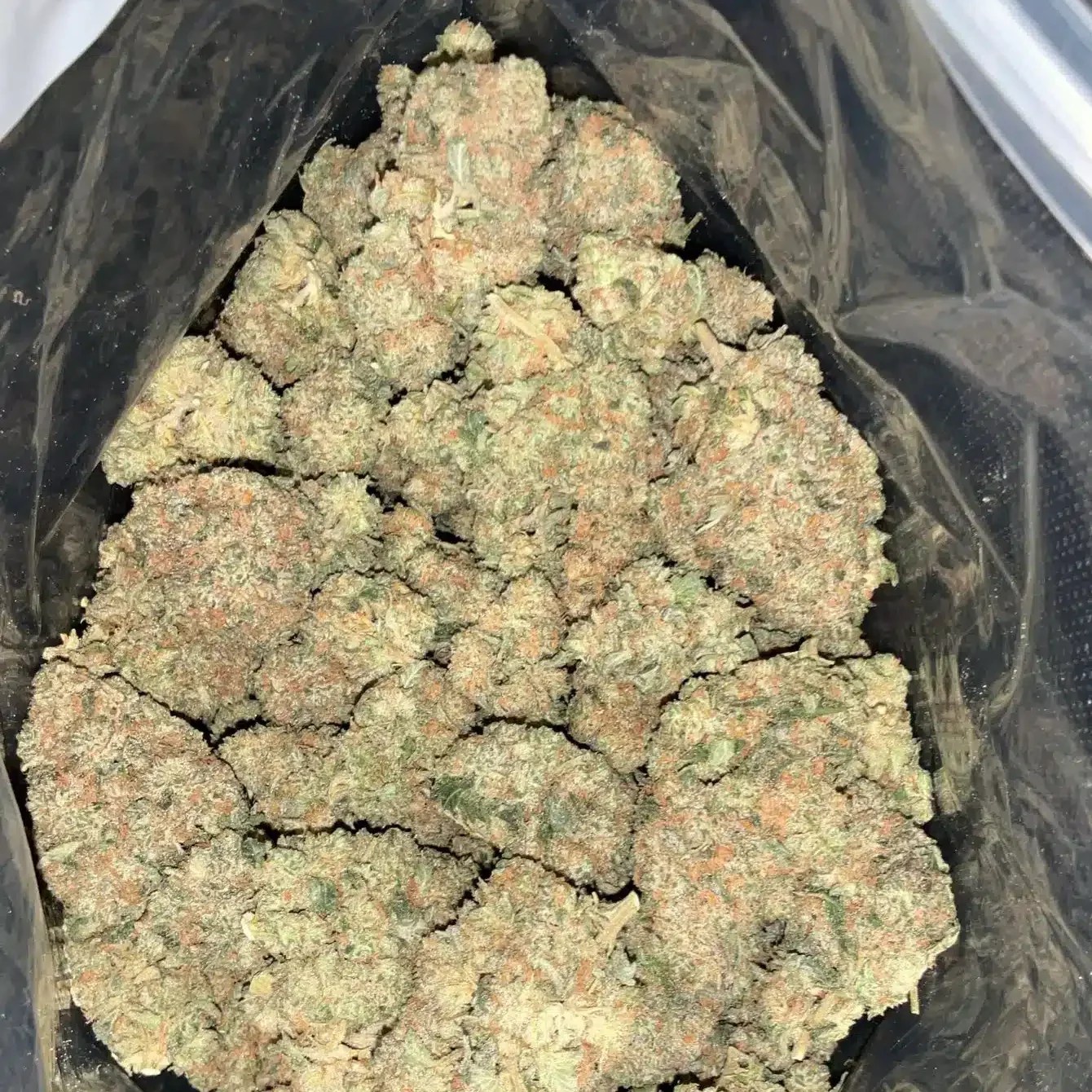 AAA+ Peanut Butter Rockstar