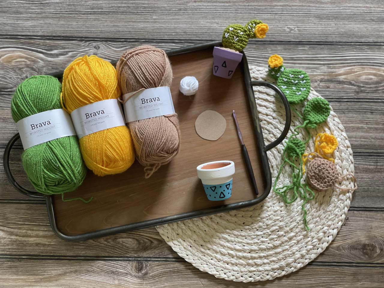 The Plant Lovers Collection: Prickly Pear Cactus – PugLove Crochet