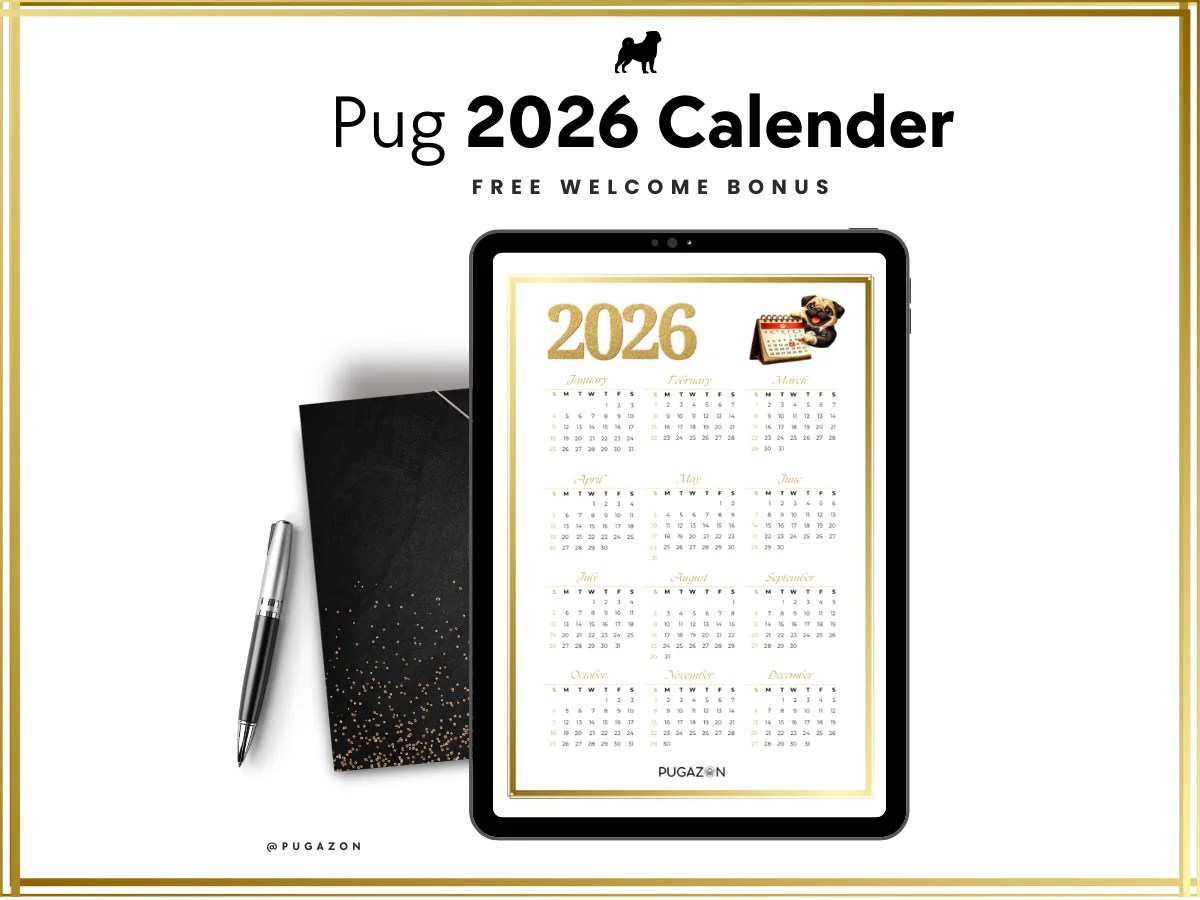 Free Pug Calendar For 2026 Printable PDF Pugazon Freelance Inner Blog Graphics Pugazon 1200 X 900 3 