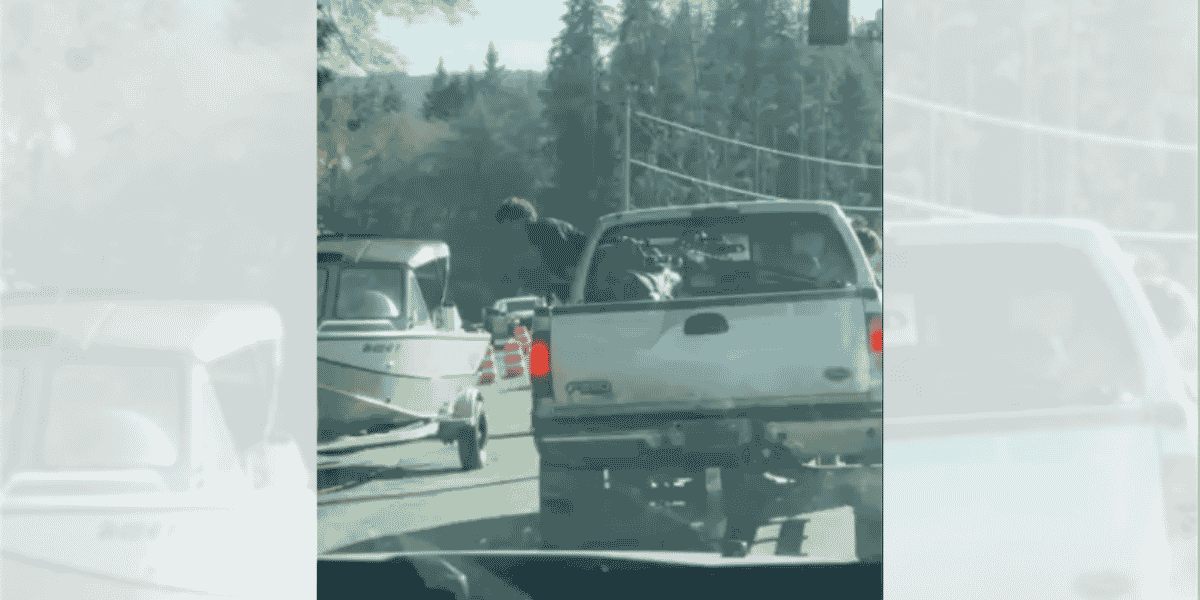 ‘What Year Is It?’: Video of Group Allegedly Shouting Racial Slurs Near Forks Sparks Outrage