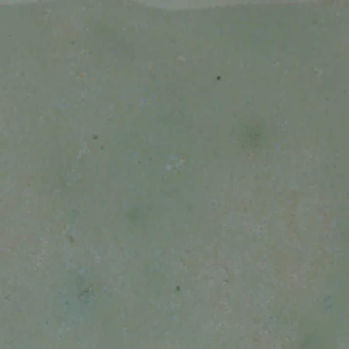 tidepool1