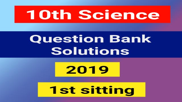 Read more about the article 10th Science Question Bank Solution 2019 1st Sitting Pdf