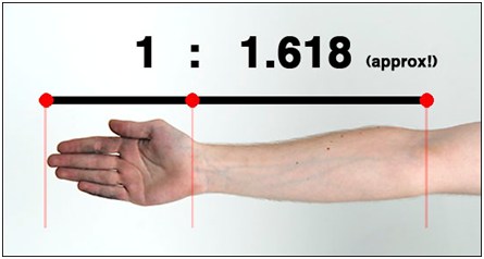 Sama seperti membeli saham, untuk melakukan trading forex anda juga. Tips melukis fibonacci retracement dalam trading bersama