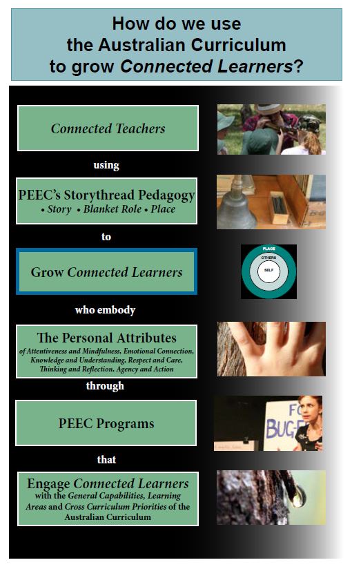 Curry Dpo Enhancing Alignment Using Curriculum Learning Ranked - Colorful Patterns - Creative Full HD Collection