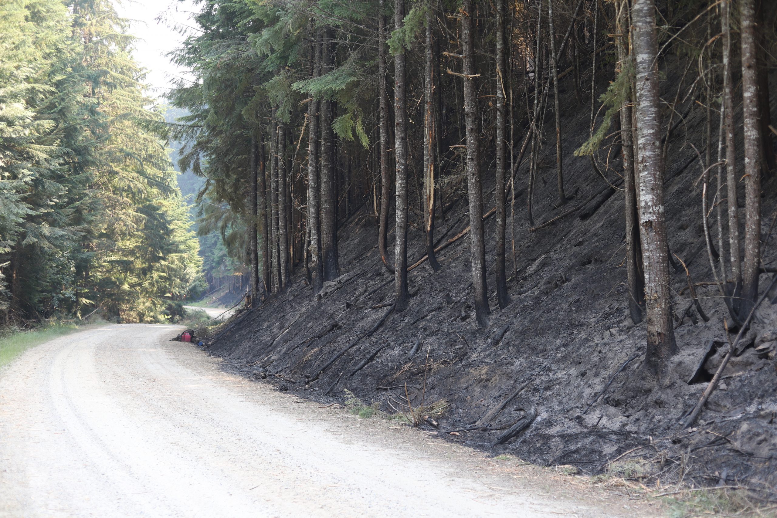 Leland Complex Of Fires In Nez PerceClearwater National Forests
