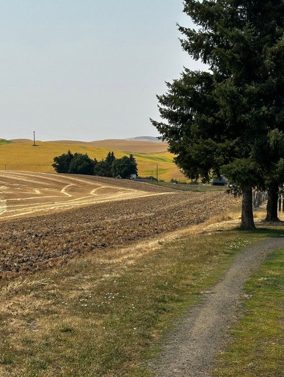 Volunteer Fire Department In Palouse Encouraging Famers To Plow Disc Lines Between Fields And Neighbors