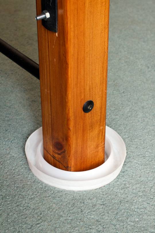 27+ New Bed Bug Reproduction Rate :  / I don't want to scare you, but bed bugs are coming to get you!