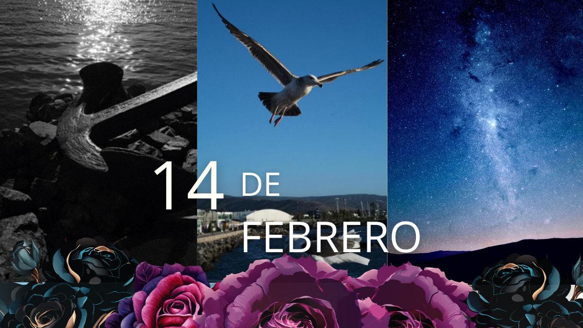 14 de Febrero